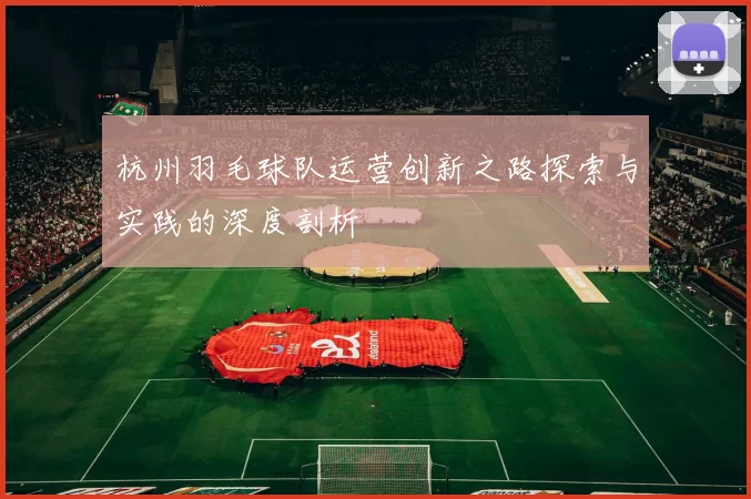 杭州羽毛球队运营创新之路探索与实践的深度剖析