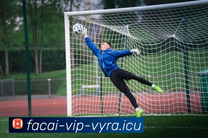 乐鱼体育APP 高清赛事图